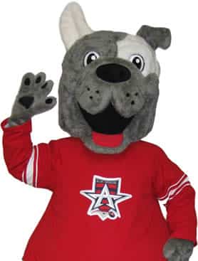 allen-americans-biscuit Allen Americans Biscuit