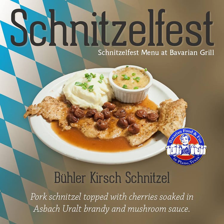 schnitzel schnitzelfest german food