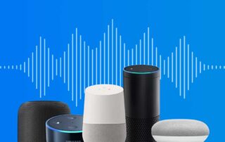 dallas voice search agency blog