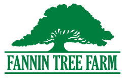 Fannin_Logo_corporate