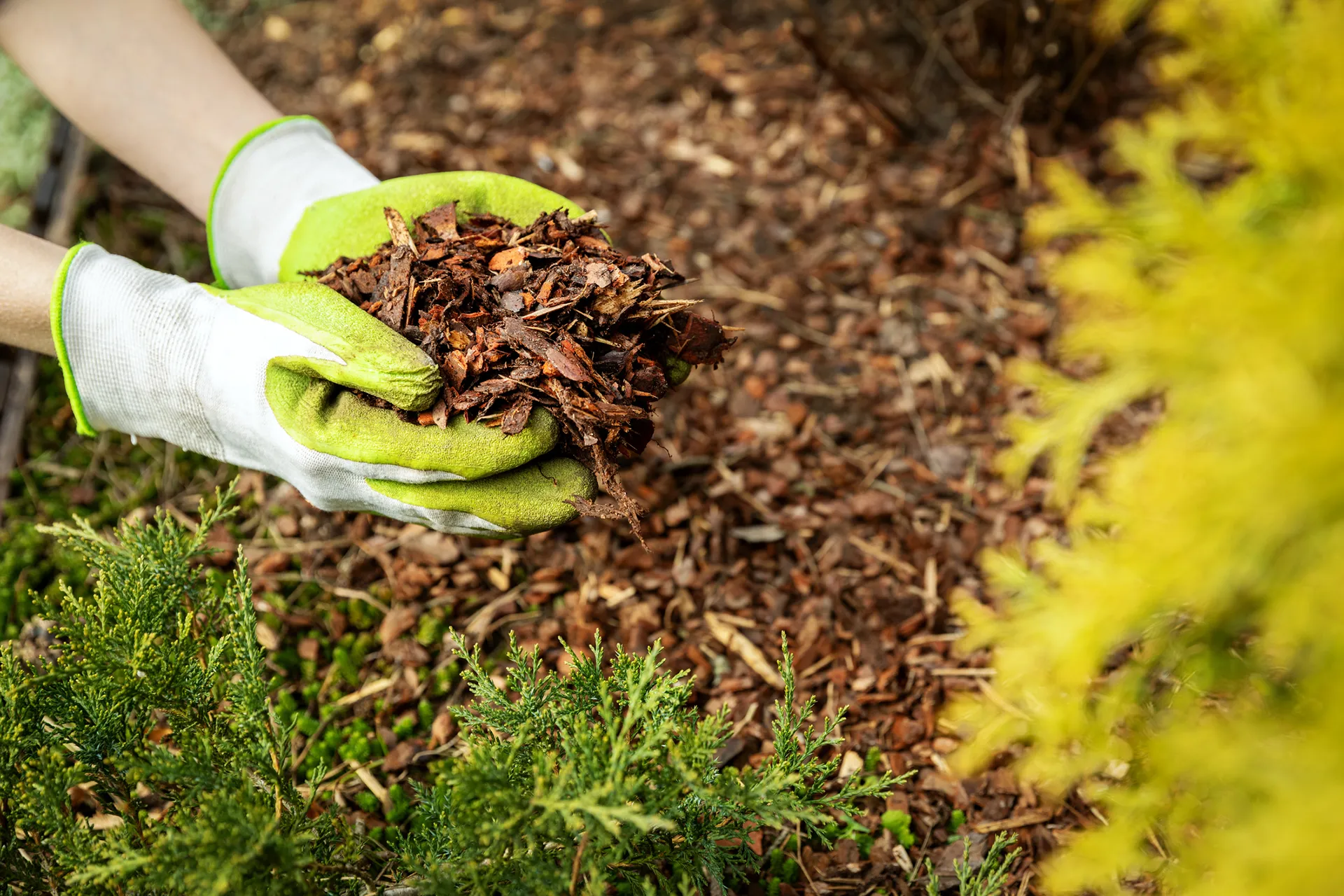 Ground Smart 3 Photo Of Mulch